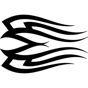 Tflame 021