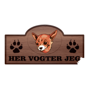 Her vogter jeg chihuahua