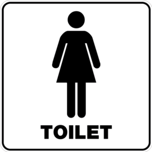Kategoribillede toilet dame 001