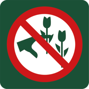Naturstyrelsens Piktogram Blomsterplukning forbudt