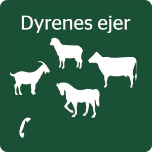 Naturstyrelsens Piktogram Dyrenes ejer 4 dyr